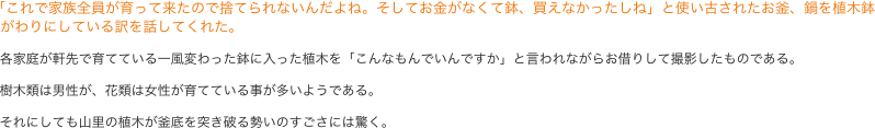 「これで家族全員が育って来たので捨てられないんだよね。そしてお金がなくて鉢、買えなかったしね」と使い古されたお釜、鍋を植木鉢
  がわりにしている訳を話してくれた。

  各家庭が軒先で育てている一風変わった鉢に入った植木を「こんなもんでいんですか」と言われながらお借りして撮影したものである。

  樹木類は男性が、花類は女性が育てている事が多いようである。

  それにしても山里の植木が釜底を突き破る勢いのすごさには驚く。